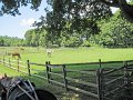 IMG_1177_edited-1