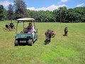 IMG_1181_edited-1