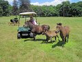 IMG_1182_edited-1