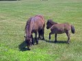 IMG_1184_edited-1