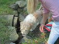 IMG_1196_edited-1