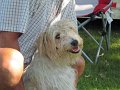 IMG_1203_edited-1