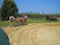 IMG_1501_edited-1
