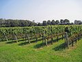 IMG_1506_edited-1