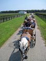 IMG_1511_edited-1