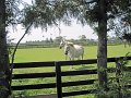 IMG_1514_edited-1