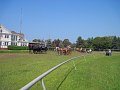 IMG_1516_edited-1