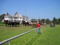 IMG_1518_edited-1