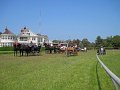IMG_1519_edited-1