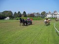 IMG_1520_edited-1