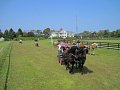IMG_1521_edited-1