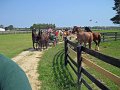 IMG_1523_edited-1