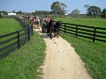 IMG_1524_edited-1