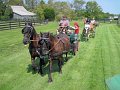 IMG_1525_edited-1