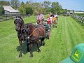 IMG_1526_edited-1