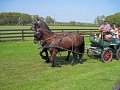 IMG_1527_edited-1