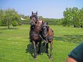 IMG_1528_edited-1