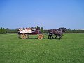 IMG_1530_edited-1