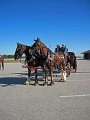 IMG_2237_edited-1