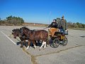IMG_2238_edited-1