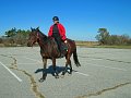 IMG_2239_edited-1