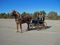 IMG_2240_edited-1
