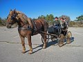 IMG_2241_edited-1