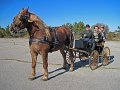 IMG_2242_edited-1