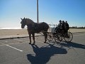 IMG_2243_edited-1