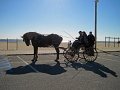 IMG_2244_edited-1