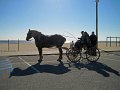 IMG_2245_edited-1