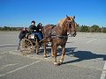 IMG_2246_edited-1
