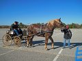 IMG_2247_edited-1