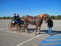 IMG_2248_edited-1