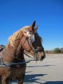 IMG_2250_edited-1