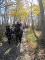 IMG_2261_edited-1