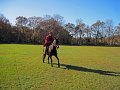 IMG_2262_edited-1
