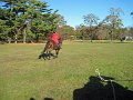 IMG_2263_edited-1