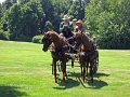 IMG_4238_edited-1