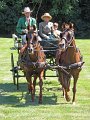 IMG_4247_edited-1
