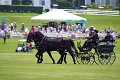 _MG_2187_edited-1