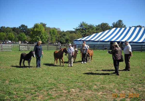 PDC 2010 Old Bethpage